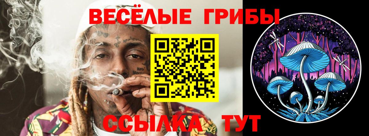 Златоуст  даркнет сайт  Вход с VPN  Галлюциногенные грибы GOLDEN TEACHER 